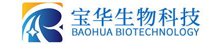 米兰网页版